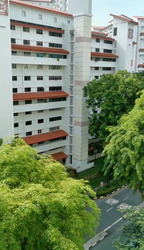 Holland Avenue (Queenstown), HDB HUDC #554670671